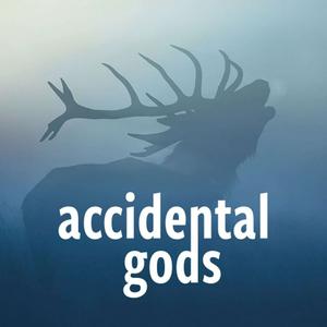 Listen to Accidental Gods in the App