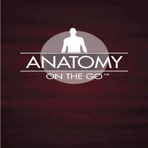 Anatomy On The Go