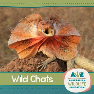 Listen to Australian Wildlife Education: Wild Chats in the App