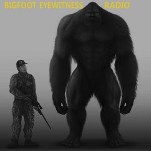 Listen to Bigfoot Eyewitness Radio in the App