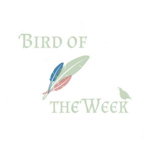 Listen to Bird of the Week in the App