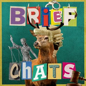 Listen to Brief Chats in the App