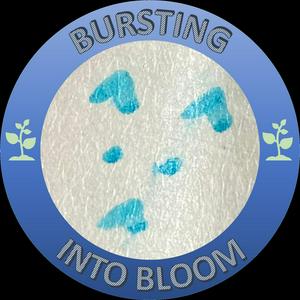 Bursting Into Bloom