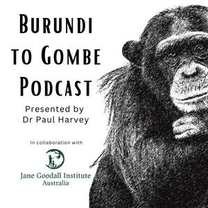 Listen to Burundi to Gombe in the App