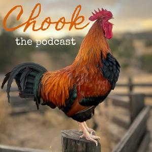 Chook. The Podcast