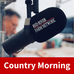 Country Morning
