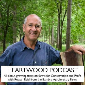 Listen to Heartwood Podcast in the App