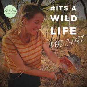 #itsawildlife