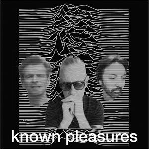 Known Pleasures