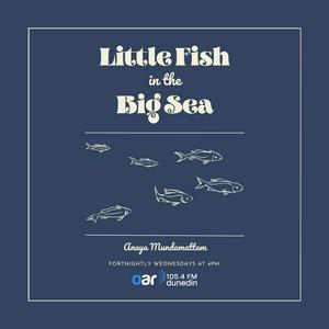 Little Fish in the Big Sea on Youth Zone