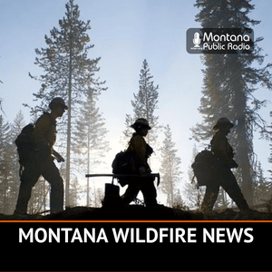 Montana Wildfire News