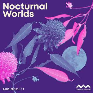 Listen to Nocturnal Worlds in the App