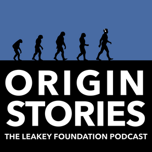 Listen to Origin Stories in the App