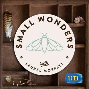 Listen to Small Wonders in the App