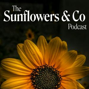 Sunflowers and Co