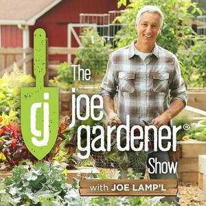 Listen to The joe gardener Show - Organic Gardening - Vegetable Gardening - Expert Garden Advice From Joe Lamp'l in the App