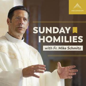 Listen to Sunday Homilies with Fr. Mike Schmitz in the App