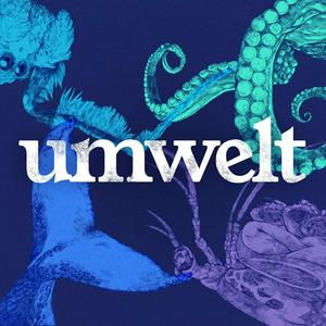 Listen to Umwelt in the App