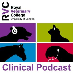 Listen to Veterinary Clinical Podcasts in the App