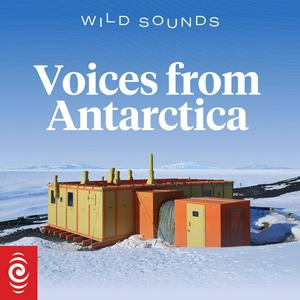 Wild Sounds: Voices from Antarctica